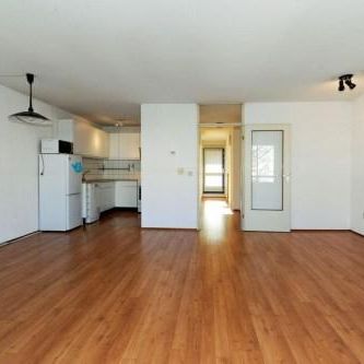 Noordwal, 2513 Den Haag, Nederland - Photo 4