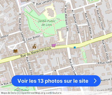 Location appartement - Loos - Photo 1