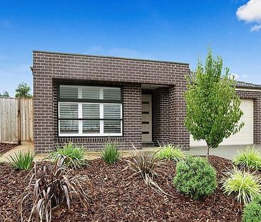 17 Lillian Street, Doreen, VIC 3754 - Photo 2