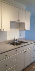 Spacious 1 BR Across From Crystal Pool Available Nov 15th or Dec 1st - Photo 3