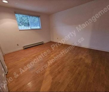 5649 Elsom Avenue DOWN Burnaby - Photo 3