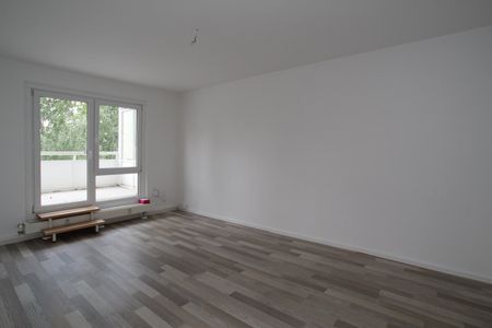 Schöne Lage am Stadtpark, großer Balkon – ID 1012 - Photo 2