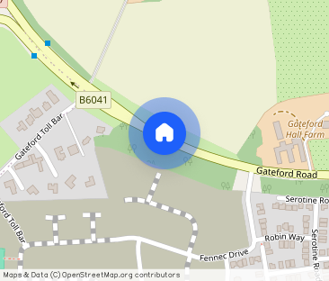 Redstart Place, Worksop S81 - Photo 1