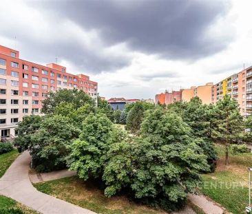 Prostorné 3+1 se zasklenou lodžií přímo u parku Podvinný mlýn - Photo 5