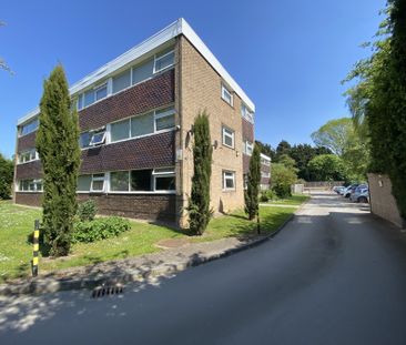 4 St Marys Mount, Cottingham - Photo 4