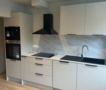 Location Appartement 3 pièces 63m² ST AUBIN LES ELBEUF 76410 - Photo 4