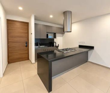 Departamento en Renta en Plaza Carso Nuevo Polanco y Ampliación Gra... - Photo 5