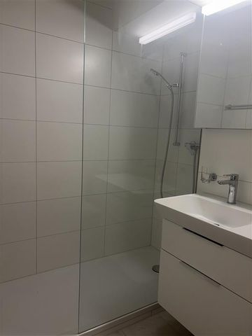 Grosszügige 3-Zimmerwohnung mit Aussicht über Reinach - Photo 3