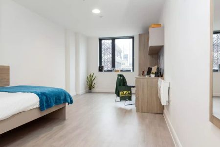 Platinum En Suite (Lower Floors) - Photo 4