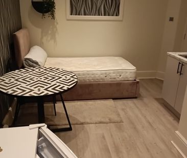 Studio Flat, Thicket Road, SE20 - Photo 3