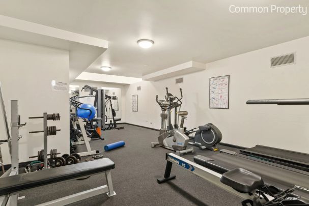 Level2/1-27 Murray Street, Pyrmont NSW 2009 - Apartment For Rent | Domain - Photo 1