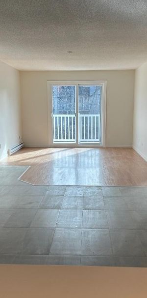 Grand 5 1/2 rénové à louer à Bromont - Photo 1