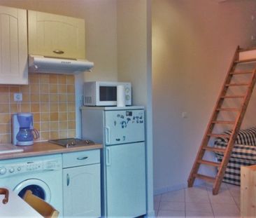 Location Appartement 1 pièce 18m² BURES SUR YVETTE 91440 - Photo 3