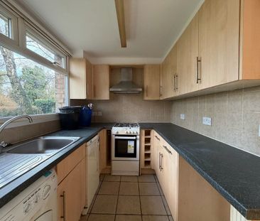 1 Bedroom For Rent - Photo 5