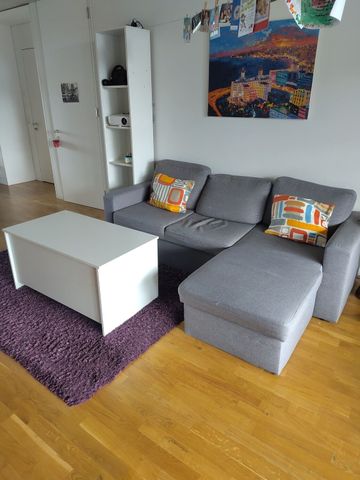 41/2-ROOM APARTMENT IN BERN - FELSENAU/TIEFENAU, FURNISHED, TEMPORARY - Foto 3