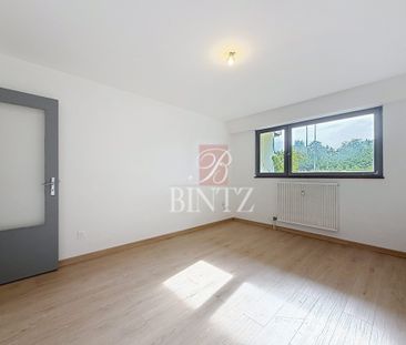 Location Appartement 1 pièce 24m² STRASBOURG 67100 - Photo 1