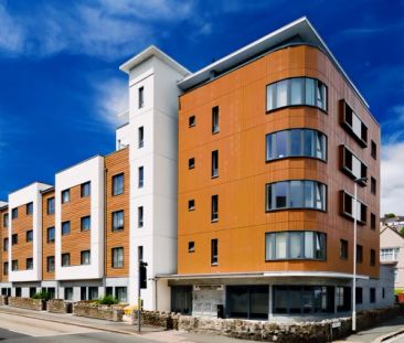 Classic Studio - Photo 6