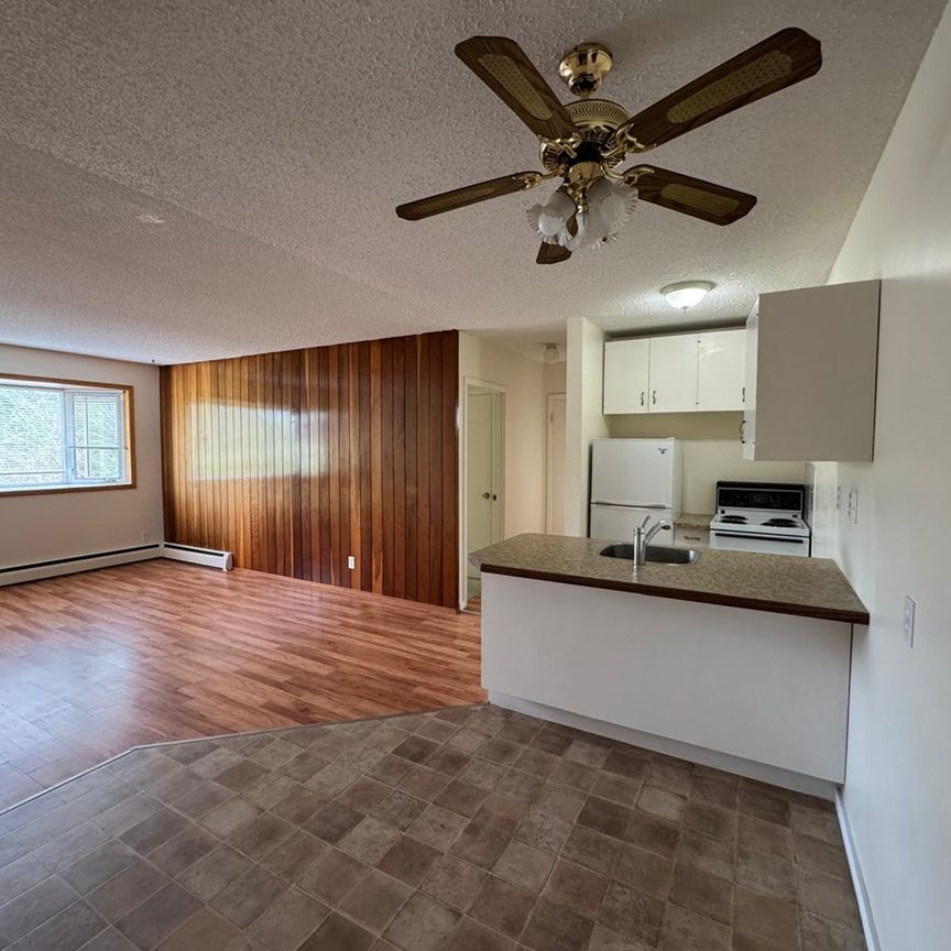 NEW PRICE!! 1 Bedroom Apartments at Bridgeview!! - Photo 1