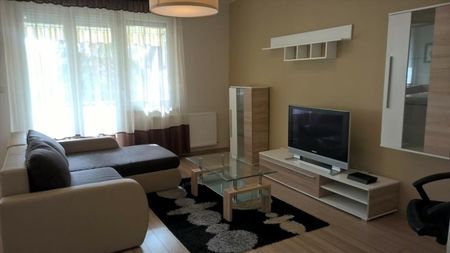 Kiadó felújított lakás - Debrecen - Fotó 2