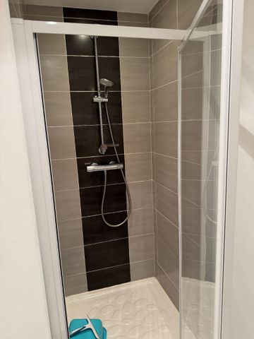 Location Appartement 1 pièce 24m² - Photo 4