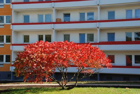 Ab Herbst verfügbare Singlewohnung mit Badewanne - Foto 2