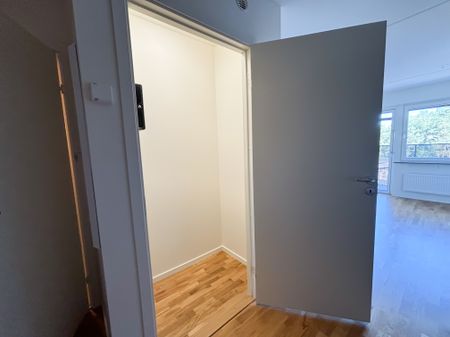 Storseglet, Vega - Foto 5