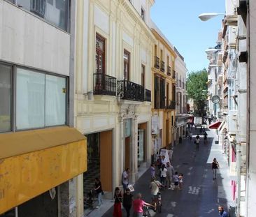 Calle ODonnell, Sevilla, Andalusia 41001 - Photo 5