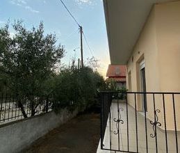 Μονοκατοικία για ενοικίαση - Αίγειρος, - Φωτογραφία 3