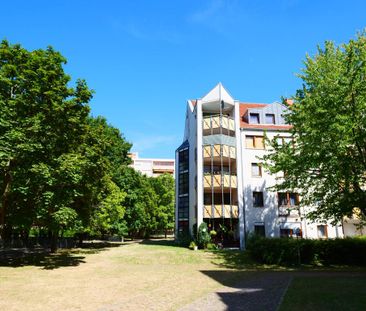 1-Zimmer Wohnung - Photo 2