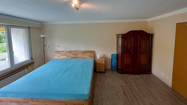 1½ Zimmer-Wohnung in Effretikon (ZH), möbliert, auf Zeit - Foto 1