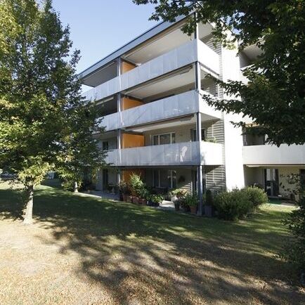 Appartement confortable de 2,5 pièces dans un quartier résidentiel calme - Photo 1