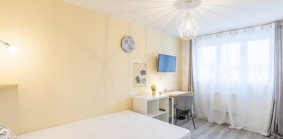 ALSACE Colocation 4 chambres à Illkirch Graffenstaden - Photo 2