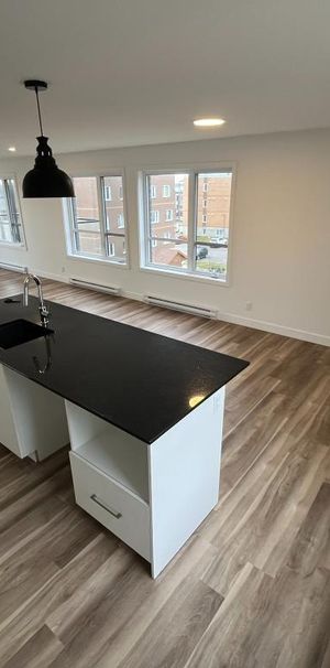 Grand 5 1/2, ANIMAUX ACCEPTÉS, Libre le 1er juillet - Photo 1