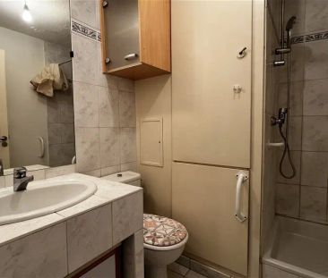Location appartement 1 pièce - 24m² à Illkirch graffenstaden (67400) - Photo 5