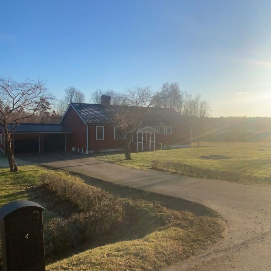 Lida Hönestorp, Ljung - Photo 2