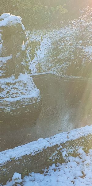 Gyllerupsvägen, Löderup - Foto 1