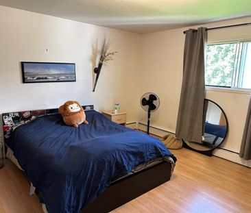 37 Rue Saint-Hyacinthe ? Magnifique Appartement à Louer – 37 Rue Sa... - Photo 2
