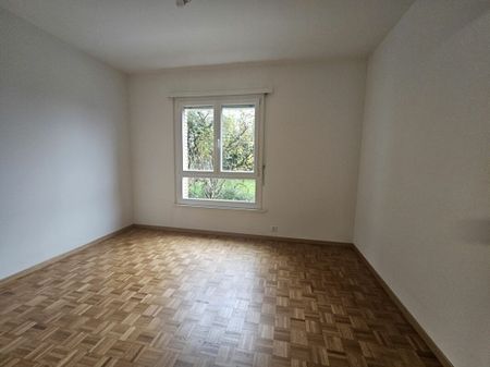 3.5 locali con giardino - Photo 3