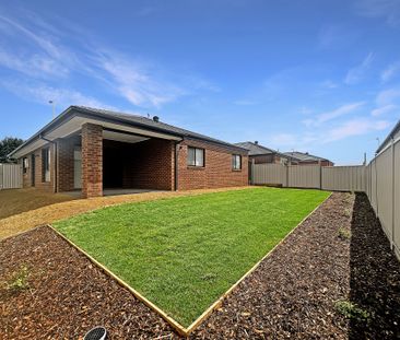 21 Webb Road, Bonshaw - Photo 5