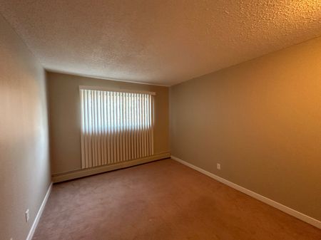 Spacious 2 Bedroom Cat Friendly Suite in Clearview! - Photo 5