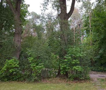 Te huur: Appartement Vijftig Bunderweg in Dorst - Foto 4