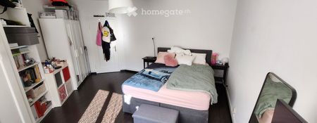 Sonnige Wohnung in Wiedikon Kurzzeitmiete für nur 3 Wochen - Foto 4