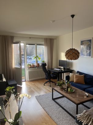 Syréngatan, Linköping - Photo 1