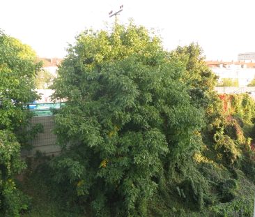 3 Zimmer, Gehweite U6 Floridsdorf, Alte Donau - Foto 6