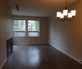 $1950 / 2br – 854ft2 – Top Floor 2 bedroom 2 full bath condo in Sou... - Photo 3