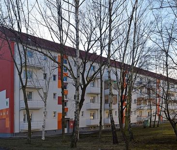 2-Raum-Wohnung Vogelweide 64 - Photo 6