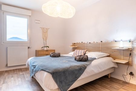 Location Appartement 2 pièces Meublé 45m² ANNECY 74000 - Photo 3