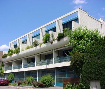 Charmante und grosszügige 1.5-Zimmerwohnung im Herzen von Wallisellen - Photo 3