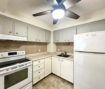 158B McArthur Ave, Vanier South, Ottawa, ON - Photo 5