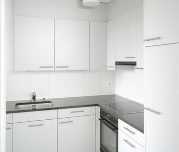 Vivre au Suriname - Photo 6